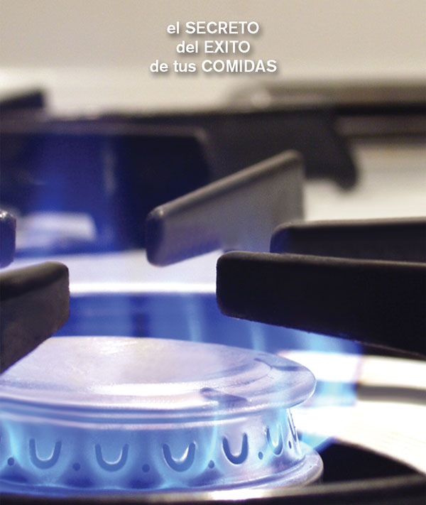 Alma Gourmet - Tipos de Fuego